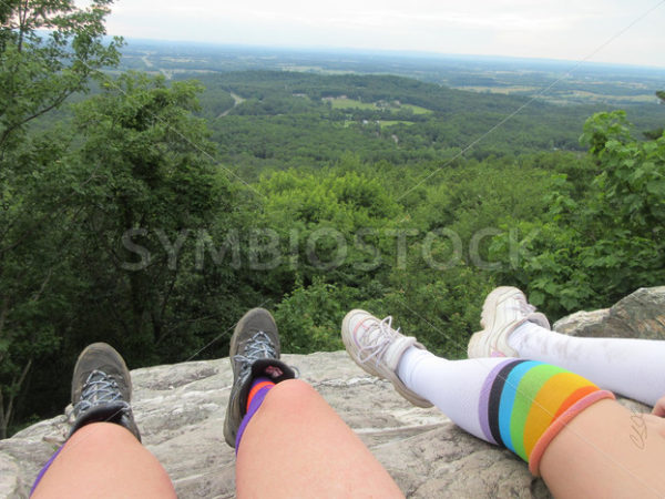 Bears Den Overlook Socks.jpg - Christina Chee