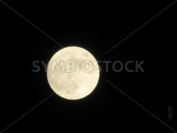 Harvest Moon Chee.jpg - Christina Chee