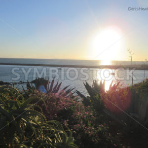 Corona Del Mar Newport Beach Cliffs.jpg - Christina Chee