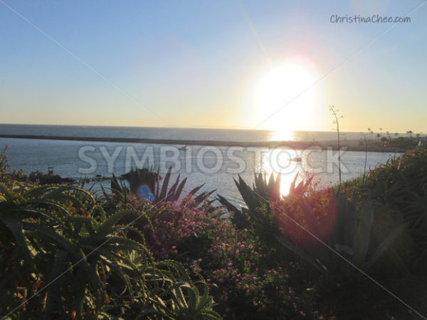 Corona Del Mar Newport Beach Cliffs.jpg - Christina Chee